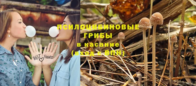 Псилоцибиновые грибы Magic Shrooms  Инсар 